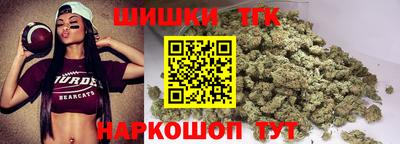 spice Гусев