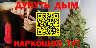 шишки Гусь-Хрустальный