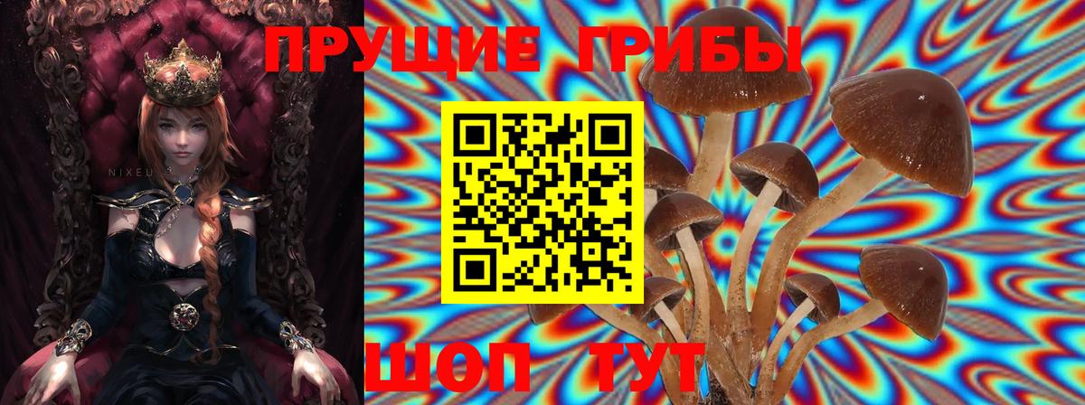 Назарово  Псилоцибиновые грибы Psilocybine cubensis  Псилоцибиновые грибы GOLDEN TEACHER  Вход с VPN 